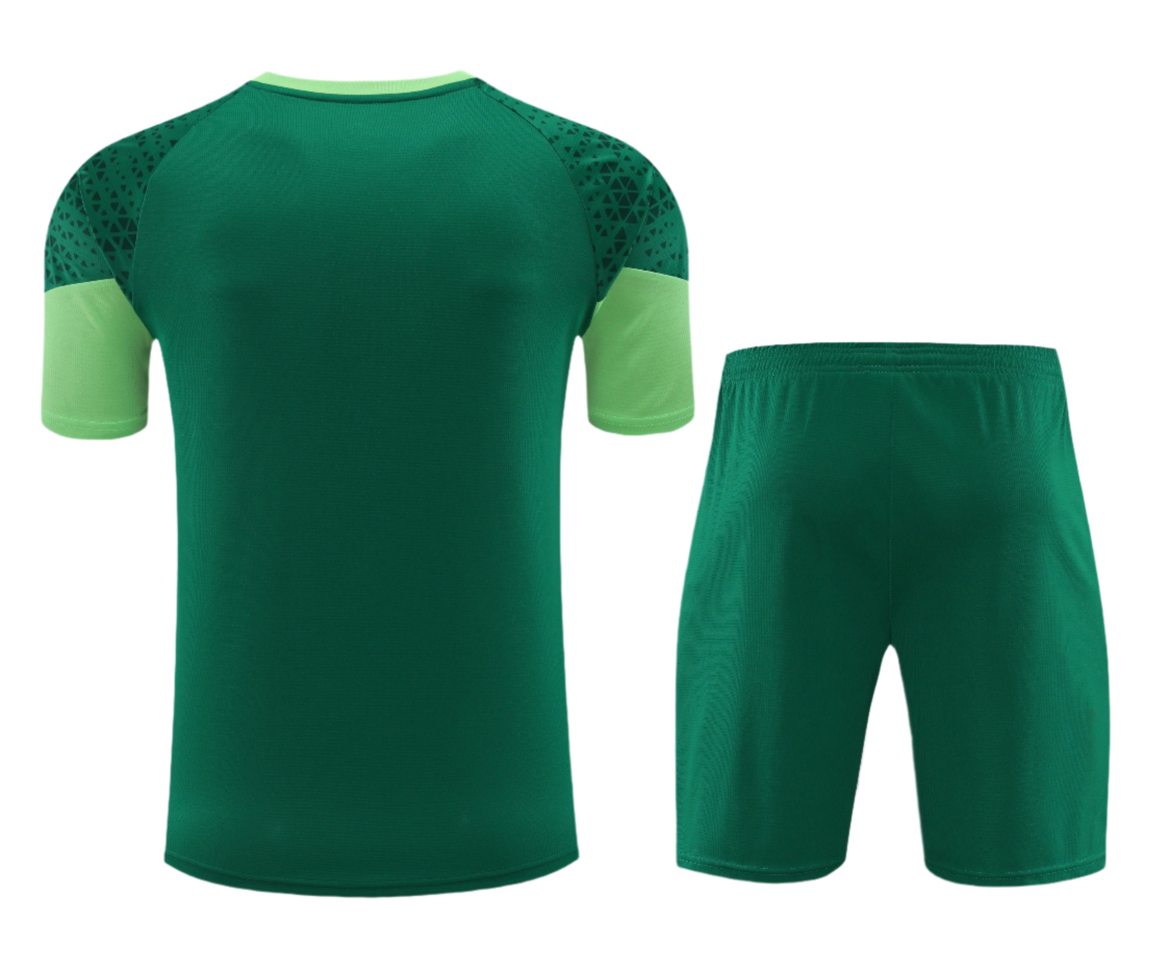 Palmeiras 24/25 Adult Shortset