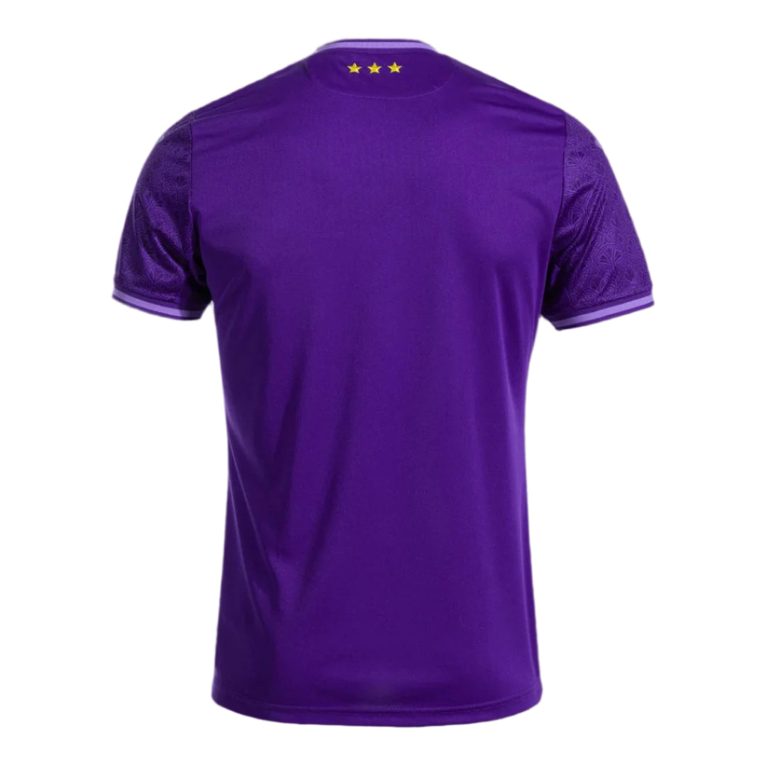 Anderlecht Kit – 24/25 Shirt