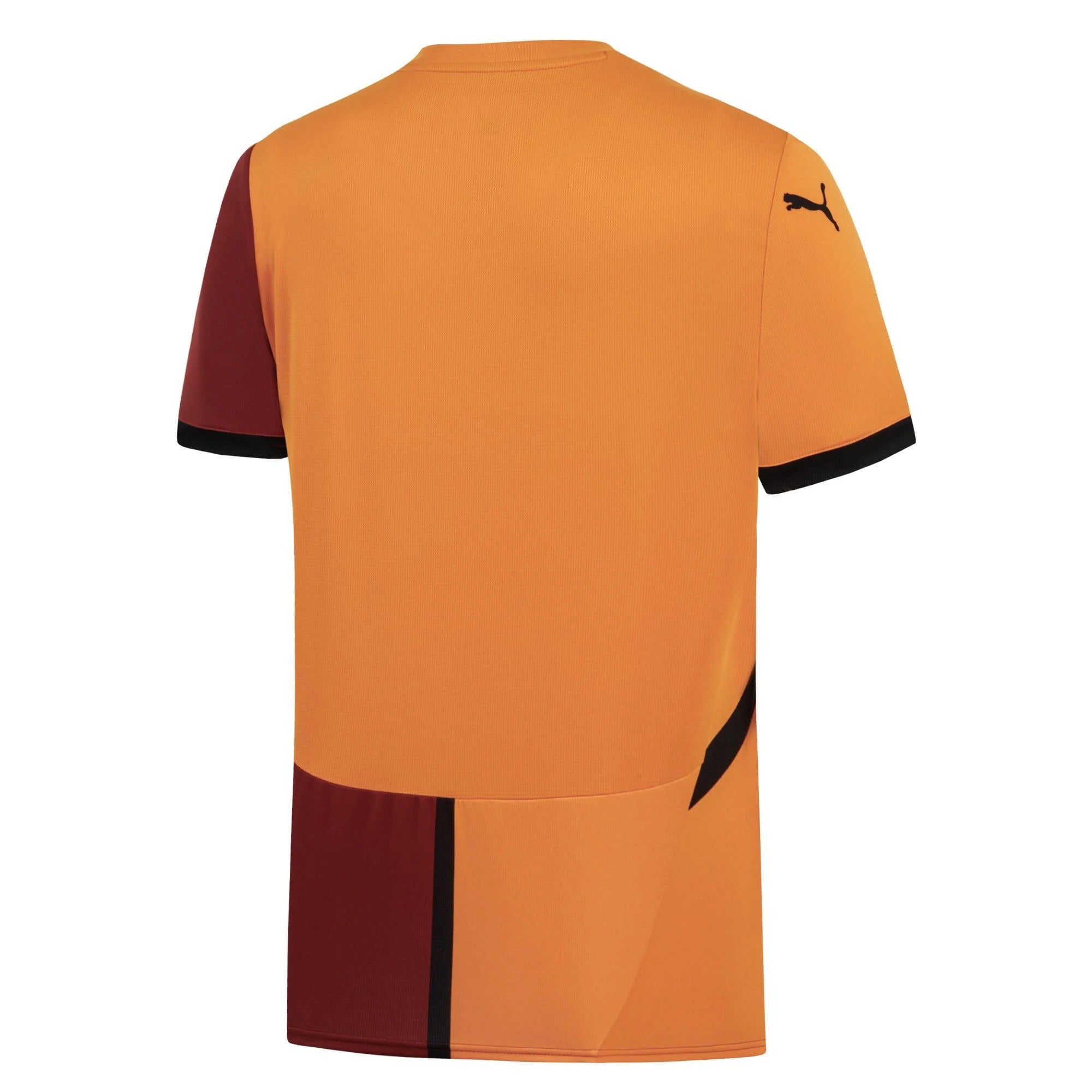 Galatasaray 24/25 Shirt – Home Edition