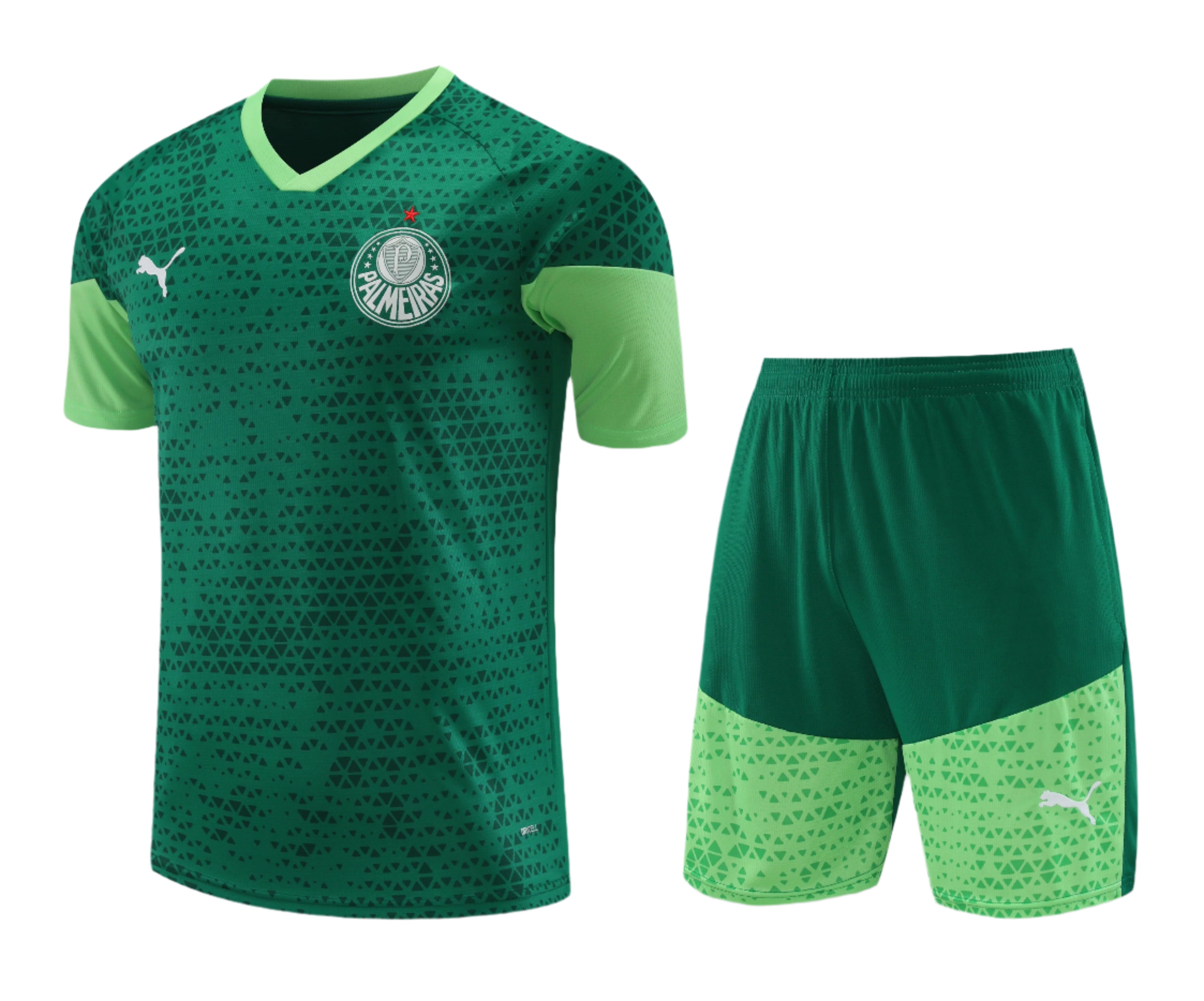 Palmeiras 24/25 Adult Shortset